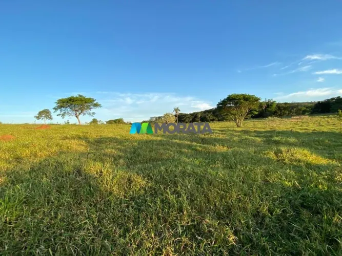 FAZENDA À VENDA - 2.195 HECTARES - BALDIM (MG)
