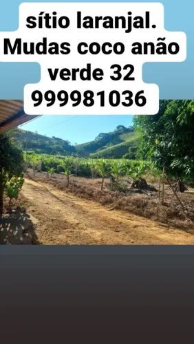 Terreno sítio laranjal 