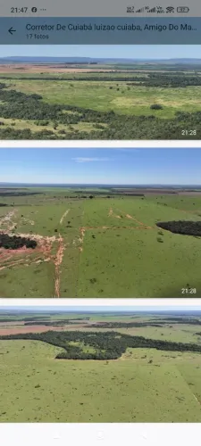 Fazenda de arrendamento pra soja 2.200hec em pasto, argila 30 a 40%, planalto da serra MT.