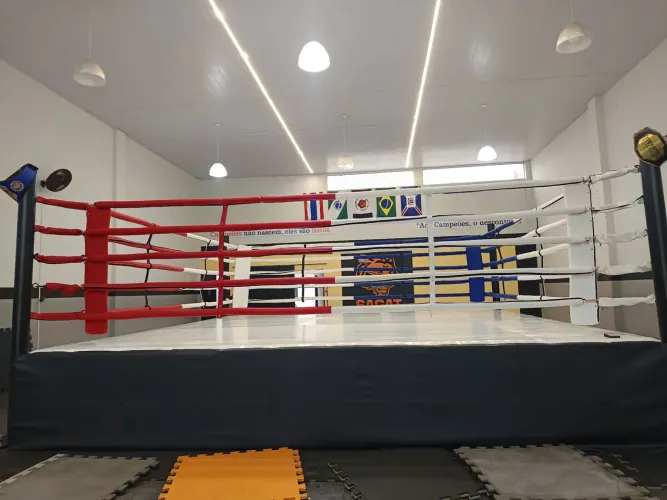 RINGUE PROFISSIONAL