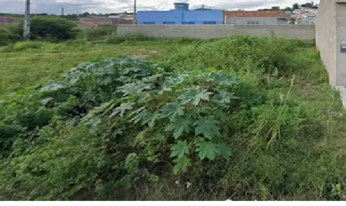Grande Oportunidade Terreno Vitória 10X20 