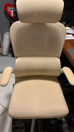 Cadeira Ergonômica