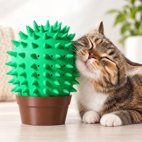Cacto arranhador pra PET