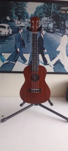 Ukulele Winner Concert 