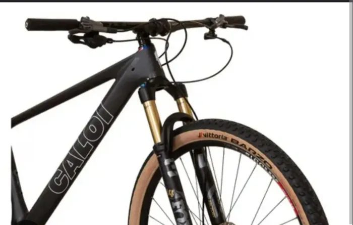 Caloi Carbon Team 2025