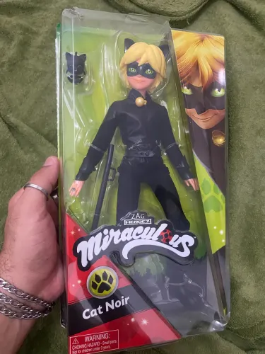 Cat Noir
