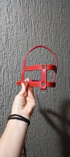 Coleira de Couro