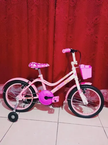 Bicicleta Ceci aro 16