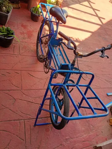 Bicicleta Cargueira