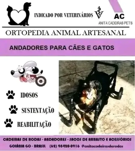 Cadeiras de rodas para cães e gatos 