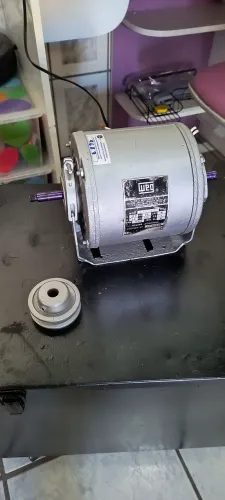 Motor 1/4 CV Weg