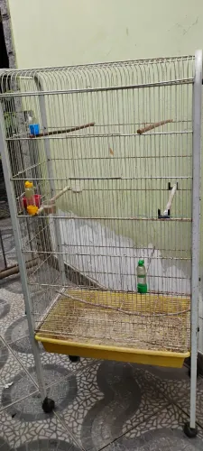 Viveiros