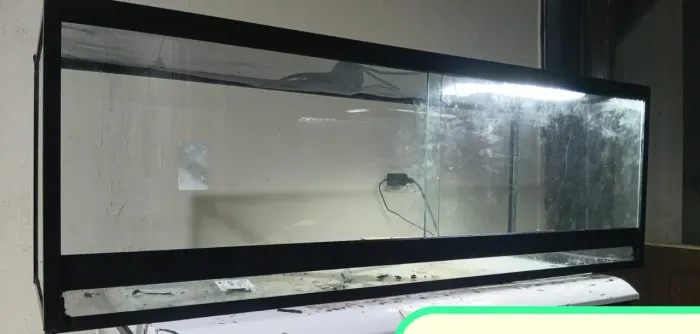 Terrário de vidro