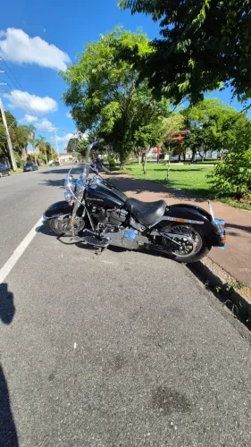 Harley Davidson Softail Deluxe FDLE 2019