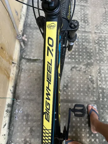 Bicicleta