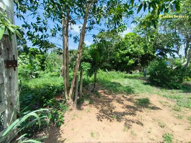 Chácara de 2.000m² no Bairro Amarelos, 9 km da Rodovia do Sol