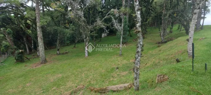 Terreno no condomínio Altos Pinheiros em Canela