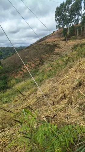 Meieiro disponível trabalho com enxertos hidráulica faço trabalhos de pedreiro 