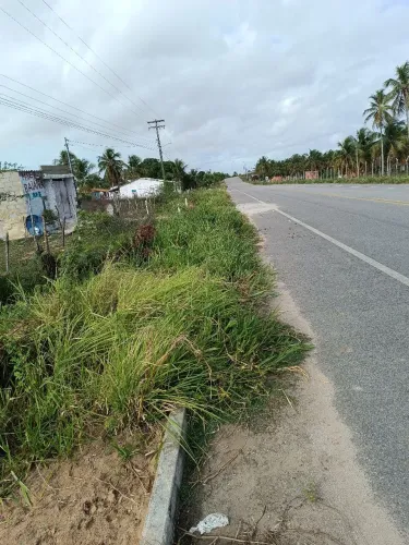Terreno