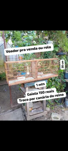 Gaiola