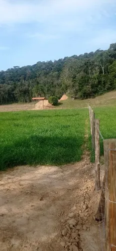 Vendo Sítio em Santo Amaro da Imperatriz