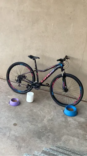 Bicicleta Lotus Angel