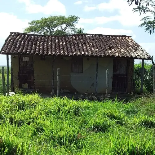 Alugo pasto. Sra Aparecida.se.povoado boncussesso.