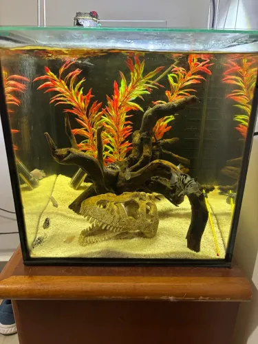 Aquário Cubo 36L