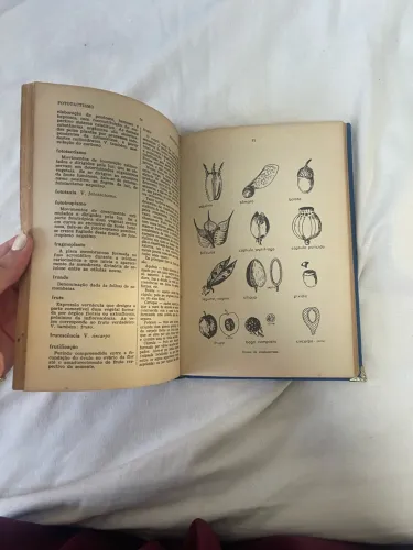 Livro relíquia botânica