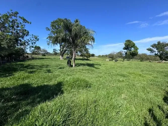 Barrozo Imóveis - Sítio a venda com 3 ha (30.000 m²) todo plano, pastagem formada, rio div