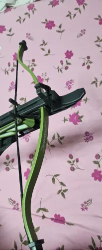 Besta já com o lazer