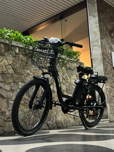 E-Bike L 