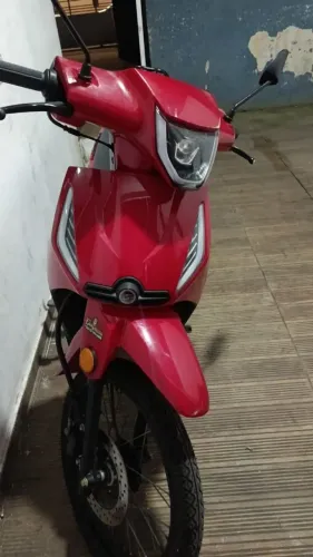 Phoenix s 50
