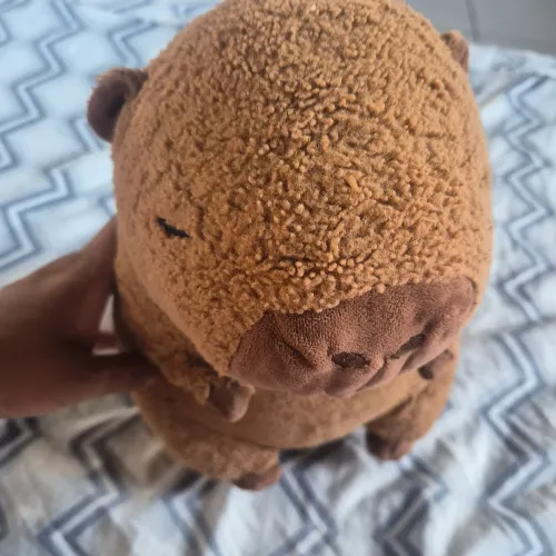 Urso capivara M