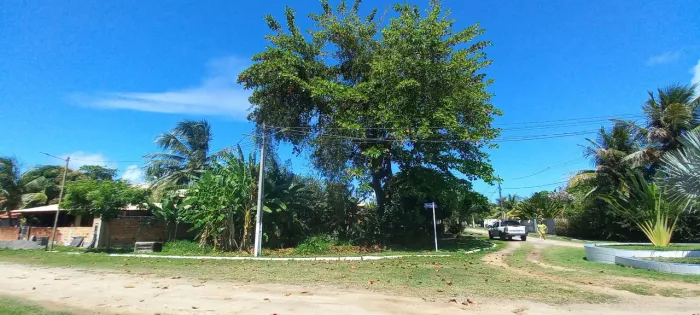 TERRENO PONTA DA ILHA I CACHA PREGOS