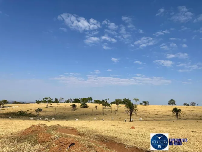 Fazenda à venda 47 alqueires na região de Itauçu - GO