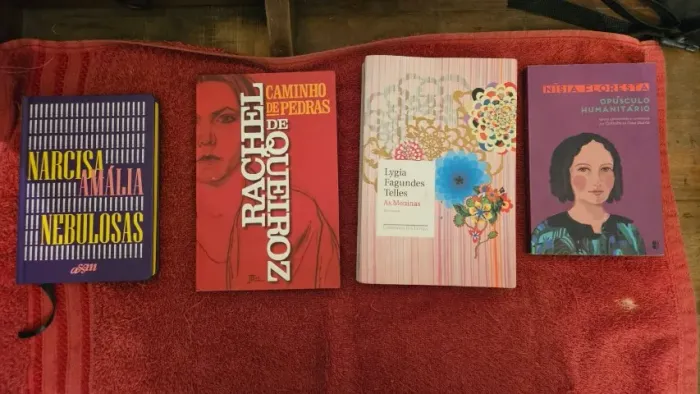 Lote Especial Literatura FUVEST Brasileira e Feminismo - 4 Livros Seminovos
