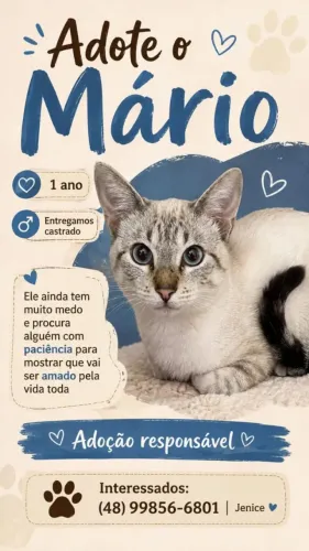 Adote o Mario