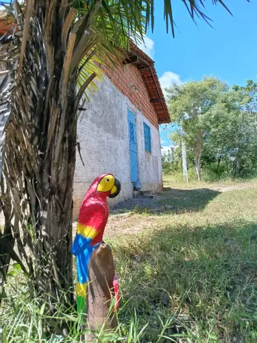 Sitio no Joia, Timon, 50X100