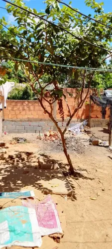 MEIO LOTE , MURADO , COM BANHEIRO INSTALADO E CONSTRUÍDO, 60M² , 10X6 