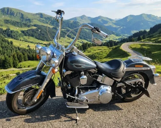 HARLEY-DAVIDSON SOFTAIL DELUXE 
