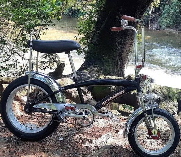 Bicicleta Schwinn Manta ray