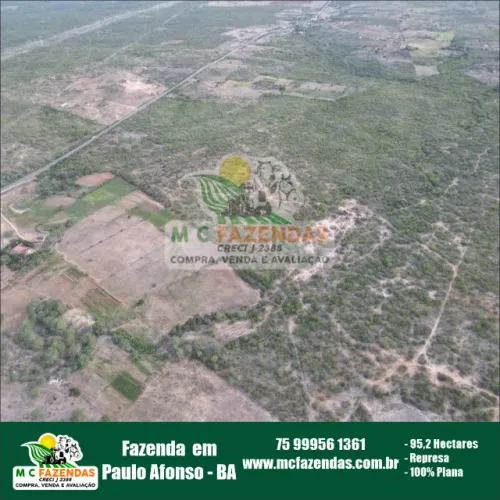 Fazenda à Venda em Paulo Afonso - BA | às Margens da BR 110 | 95,2 Hectares