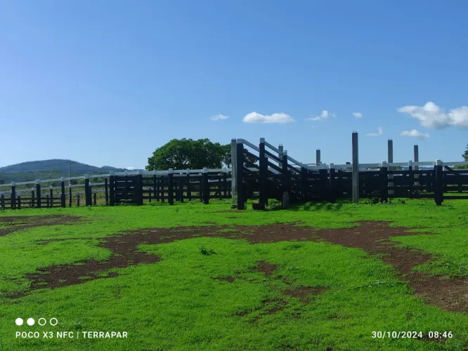 Fazenda 2.642 hec em Bom Jardim Goiás,. 105 milhões
