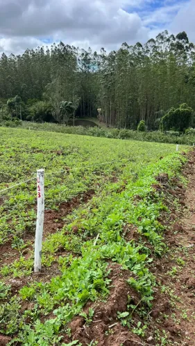 He Excelentes opções de Terrenos aqui!