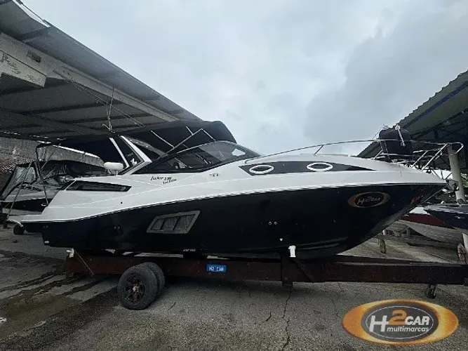 Focker 330 Black Edition 2019