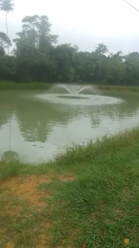 Sítio 250 x 1.000 no Rio Preto da Eva km 128  205.000,00