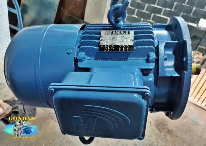 Motor Freio Eberle 7.5cv/hp (5,5kw) 4 polos 1740RPM Trifásico 220v 380v com flange FF