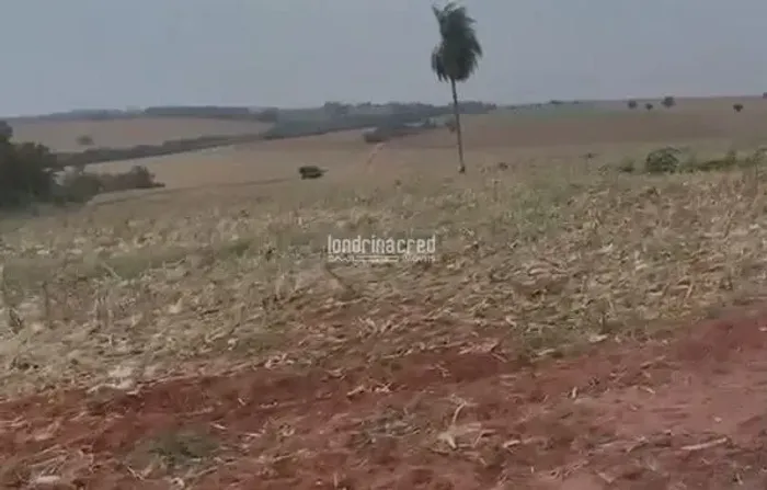 Área à Venda em Rural, Jaguapitã - PR