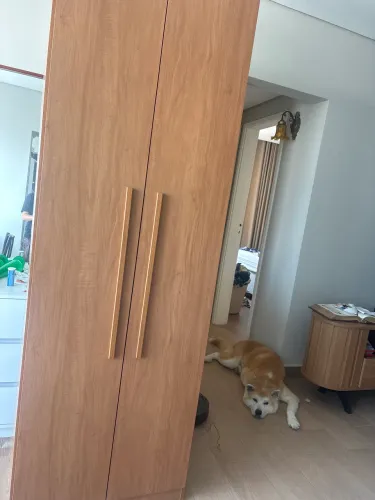 Guarda roupa novo
